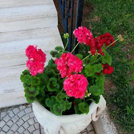 Bed & Breakfast Emy Trabia
